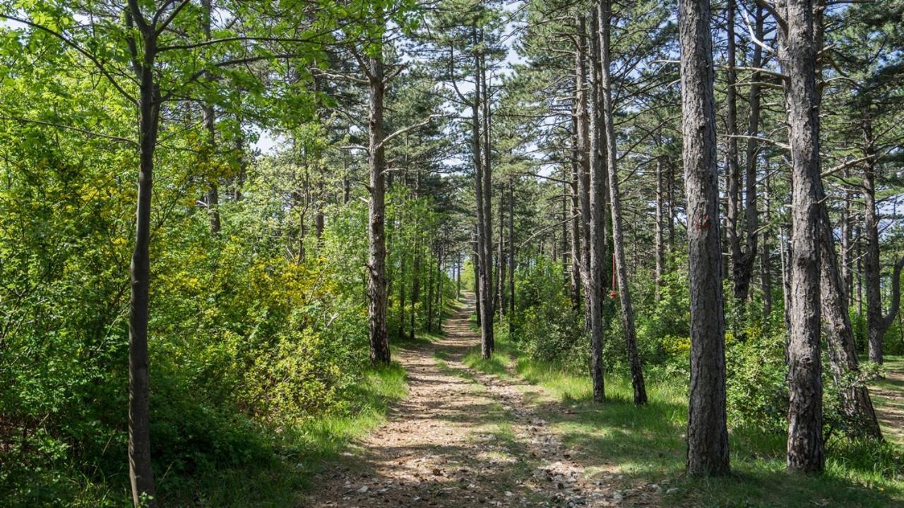 Апартаменты Kostrena - Sidro Экстерьер фото